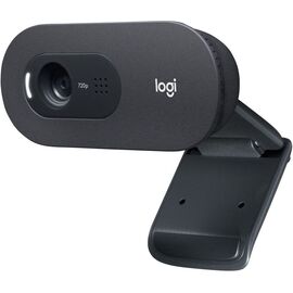  Камера Web Logitech WebCam C505e (960-001372) черный 