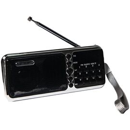  Радиоприемник портативный Сигнал РП-226BT черный/серебристый (17 833) 